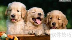 许特尔训练法：高效提升秘诀