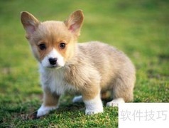 许特尔训练法：高效提升秘诀