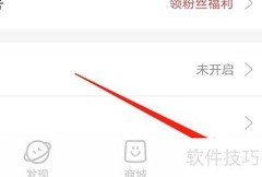 安卓叮叮抓查看充值加成券