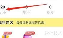 安卓叮叮抓查看充值加成券