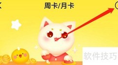 安卓叮叮抓娃娃周卡月卡说明查看