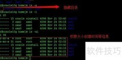Linux文件与目录操作入门