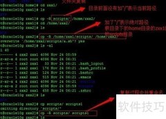 Linux文件与目录操作入门