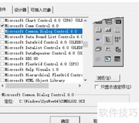 VB6文件对话框使用技巧