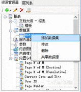 ActiveReports数据源连接