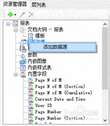 ActiveReports绑定SQL数据源