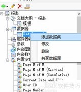 ActiveReports绑定SQL数据源