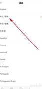 Today日记语言设置方法