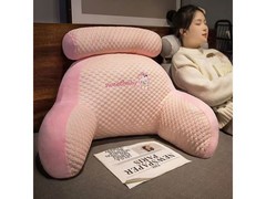 朴顿庄园冰豆豆靠垫22.9元