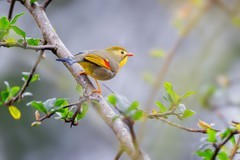 摄影师庄言Grey访谈：佳能5系二十载，我与飞羽共新生