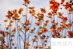 山僧不知岁月长