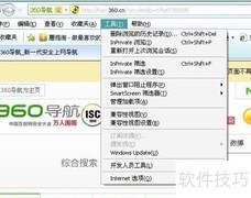 IE自动更新检查设置