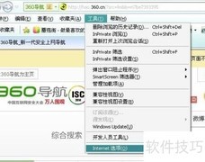 IE自动更新检查设置