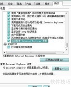 IE自动更新检查设置