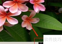触控板程序升级指南