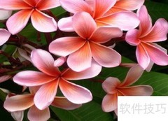触控板程序升级指南
