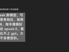 DeepSeek V4正式发布，API启用Lite版，性能对标Opus 4.5