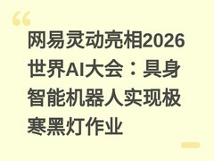 网易灵动亮相2026世界AI大会：具身智能机器人实现极寒黑灯作业