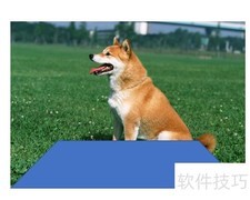 PPT图片3D效果制作技巧