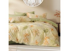 百丽丝水星青雨纯棉床品四件套5折啦