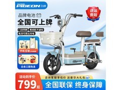 飞鸽FG电动车女生专用寒潭蓝