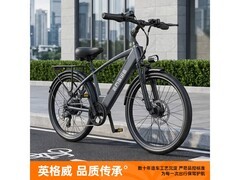 纯电助力双模电动自行车