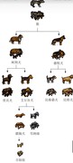 华夏人生养狗攻略：全程贴贴陪伴