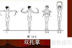 舞蹈动作解析