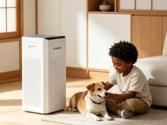 2026年母婴级除甲醛净化器推荐：分解技术+0臭氧，10年免更换更安心