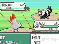 绿宝石5.2通关技巧