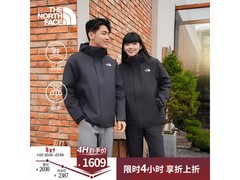 北面三合一冲锋衣男款