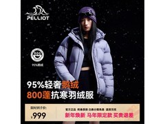 伯希和800蓬泡芙羽绒服京东低至826元