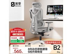 B2 Pro人体工学椅雾灰特惠