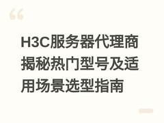 H3C服务器代理商揭秘热门型号及适用场景选型指南