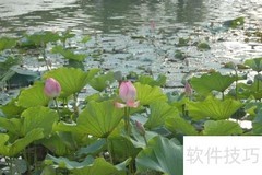 DIY个性台历，照片随心印