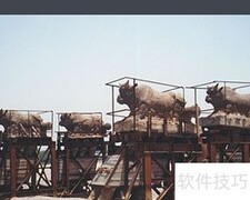 黄河铁牛位于何处？