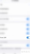 PDF Expert关闭iTunes文件方法
