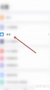 PDF Expert停用iOS数据保护方法