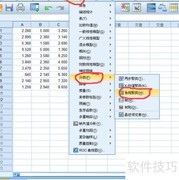 SPSS系统聚类分析