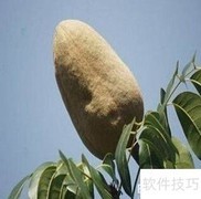 糖尿病饮食禁忌全解析