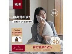 無印良品灰鸭绒防螨羽绒被