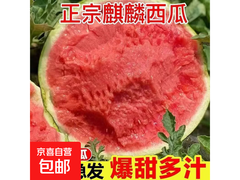 新鲜现摘美都麒麟西瓜，5 - 6斤带箱仅11元！