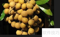 龙眼8a与6a核心差异解析