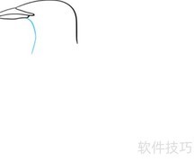 海鸥绘画入门：简单几步学会