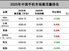 小米逆袭登顶第二，vivo稳居第一，2025年中国手机市场激战揭晓