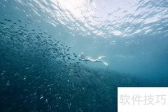 潜水必备安全小常识