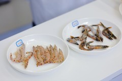 加码AI布局，海尔冰箱以系列爆品升级智慧饮食体验