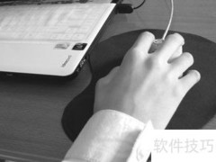 担保合同期限规定