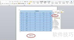Word数据快速导入Excel技巧