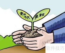 知识产权保护全攻略